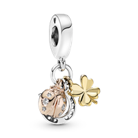 Charm Pandora Donna Pandora Moments in Argento Zirconia 798717C01 - 798717C01